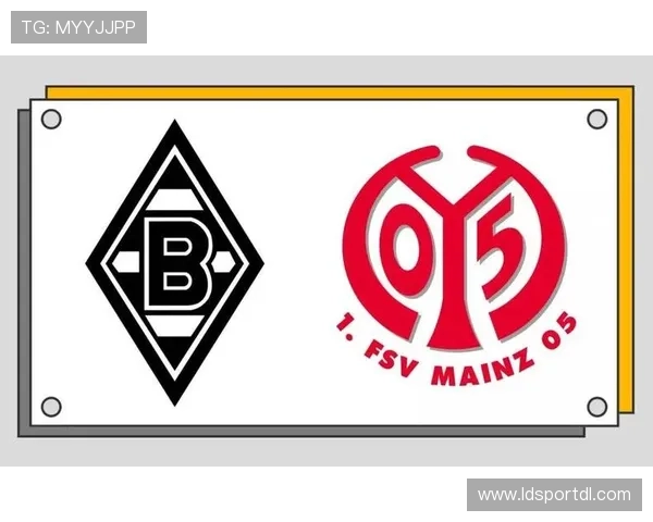 德甲球队代表性旗帜设计及球迷文化展示 德甲球队代表性旗帜设计及球迷文化展示