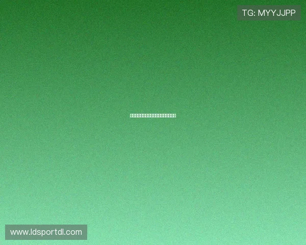 德甲球队背后的财团支持与运营模式探析 德甲球队背后的财团支持与运营模式探析